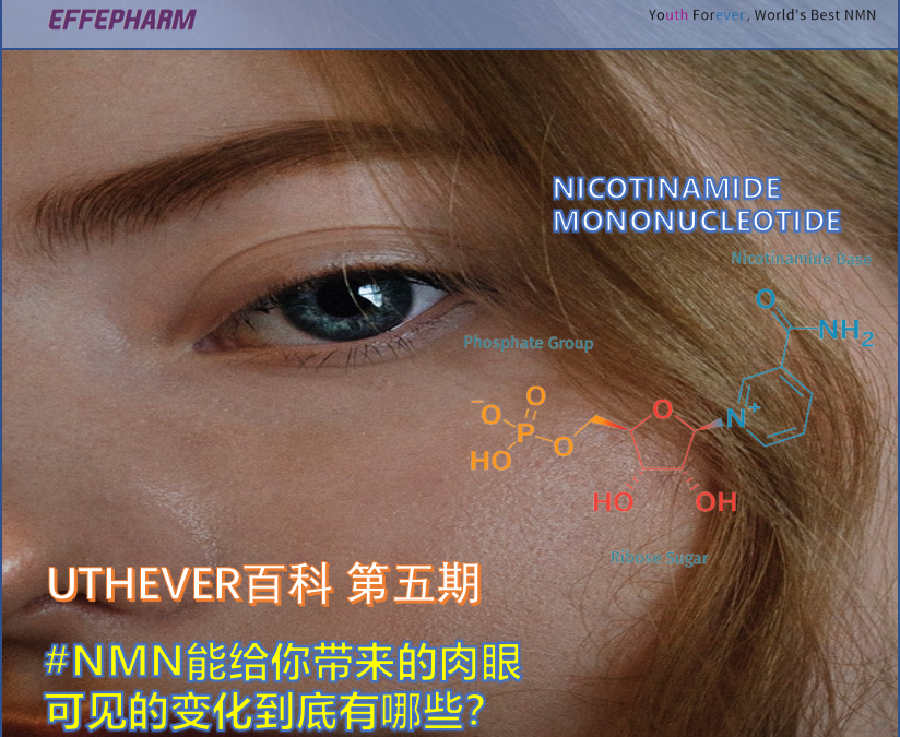 NMN能给你带来的肉眼可见的变化到底有哪些？