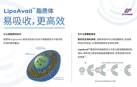 LipoAvail™脂质体技术介绍 — 易吸收，更高效