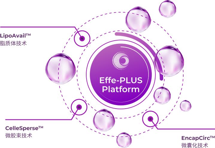 Effe-PLUS增效平台